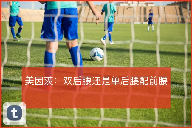 美因茨:双后腰还是单后腰配前腰